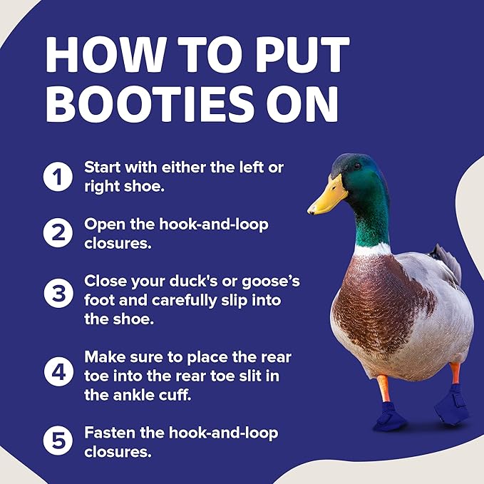 Duck Shoes for Injured Feet – Protective Neoprene Footwear for Ducks, Protective Shoes for Birds with Injured feet, Bumblefoot Relief - XL, 5.75” Max. Inside Width - Navy