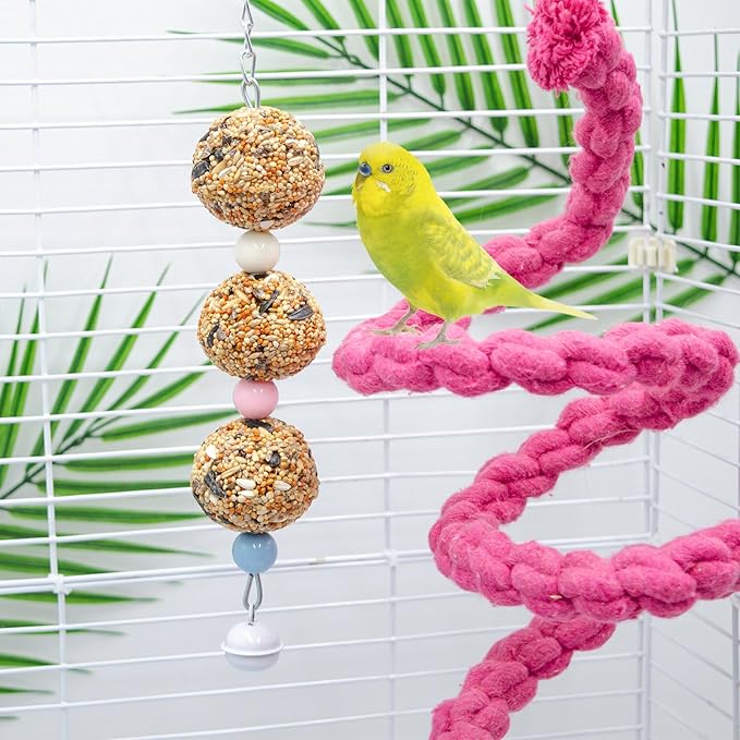 Bird Toys, 2 Pack Chew Toy with 3 Natural Cereal Foraging Balls for Cage, Parakeet Toys, Chew Toy Ball for Budgies, Cockatiels, Lovebirds, Green Cheeks, Small to Medium Birds