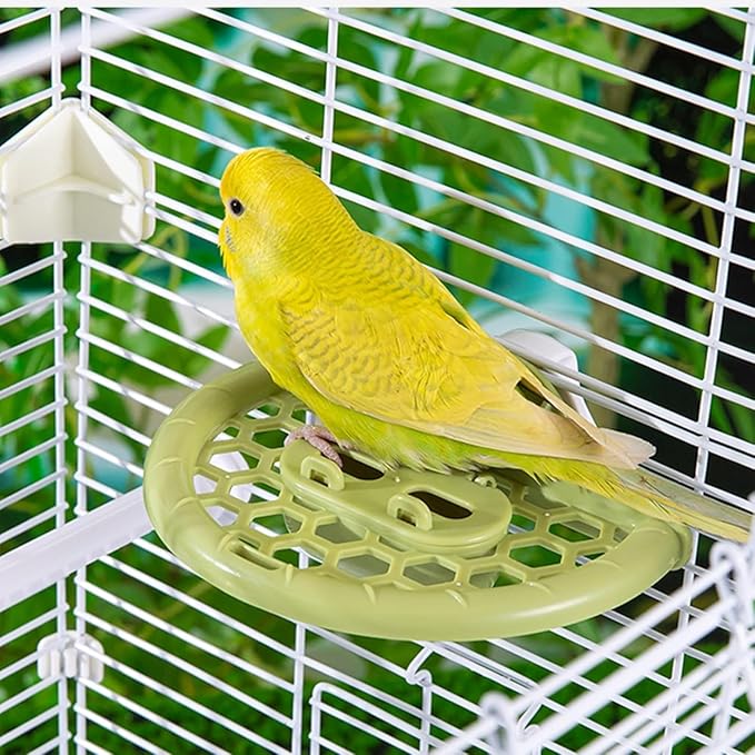 Bird Mirror with Perch Stand, Bird Toys for Parakeet Cockatiel Conure Lovebirds Finch Canaries (Green)