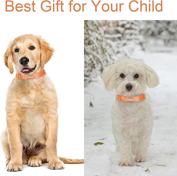 Nylon Dog Collar - Adjustable Orange Soft Webbing Dog Collars for Small Medium Large Dogs Boy Girl Puppy Collar with Safety Metal Buckle S
