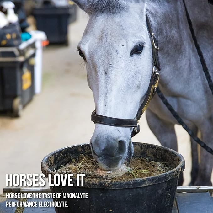 MagnaLyte Loose Salt and Electrolytes for Horses by Eagle Equine | Mineral sea Salt, Trace Minerals, Electrolytes | 4 lb Bag