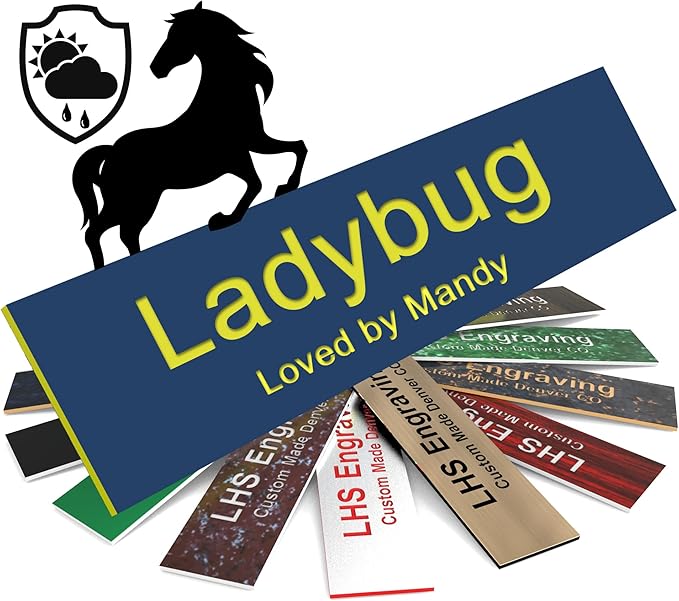 Horse Stall Name Plate, 2x6 Personalized Stall Signs, UV Protected, All Weather Adhesive, Hanging, Mounting or Other, Blue Plastic with Yellow Letters - Made in USA - B20