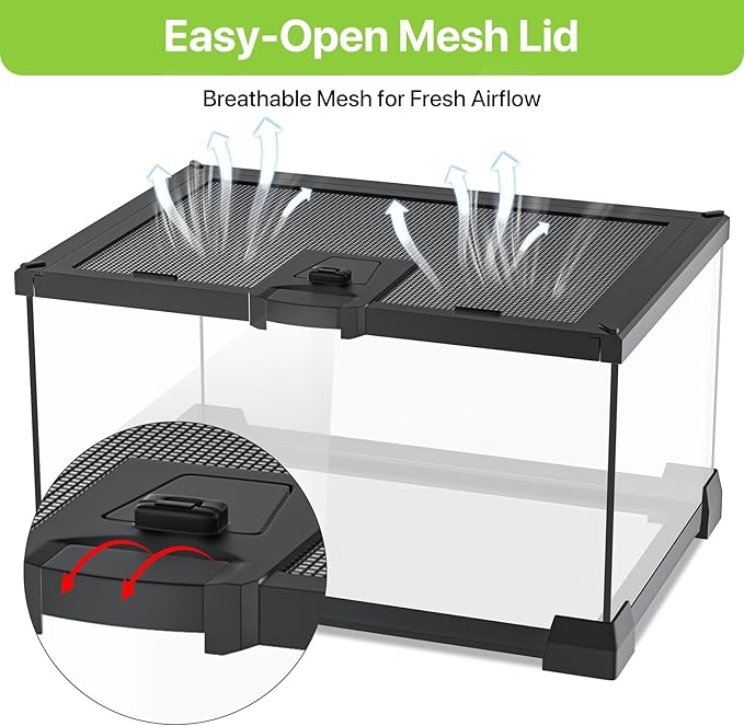 Reptile Terrariums Mini Glass Tank 12" x 8" x 6" Habitat, Top-Opening Mesh Lid with Latch, 360° Clear View, Ventilated Enclosure for Jumping Spiders, Tarantulas, Isopods & Froglets