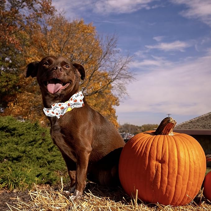 Halloween Dog Collar, Pet Collar Bow Pumpkin Pet Collar Girl Boy Holiday Collars Gift Bow Cute Soft Puppy Collars for Small Dogs