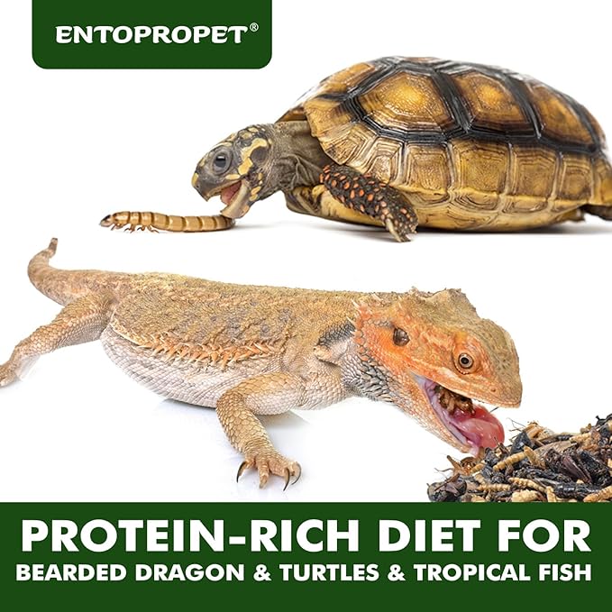 Dried Mealworms and Dried Crickets - Higher in Calcium and Richer in Protein-A Premium Medley Treat Food for Bearded Dragons,Turtles, Birds & Tropical Fish, 5oz