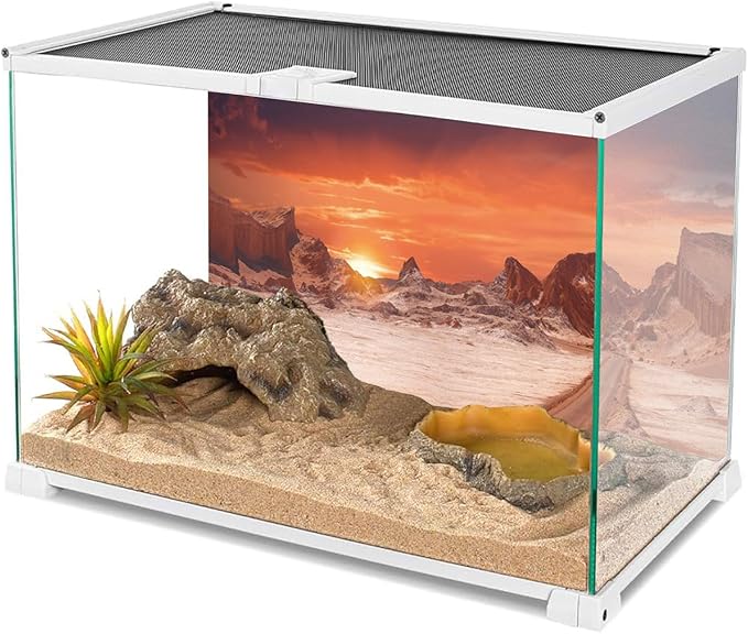 AWERT 72x16 inches Sun and Desert Terrarium Background Orange Reptile Habitat Background Durable Polyester Background