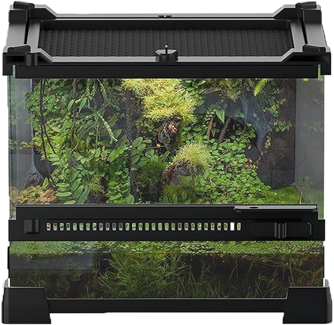 Woyrise Reptile Glass Terrarium Tank 8"x8"x5.7", Front & Top Opening Door Full View Visually Appealing Mini Reptiles or Amphibians Habitat, Stackable Enclousure for Small Reptiles