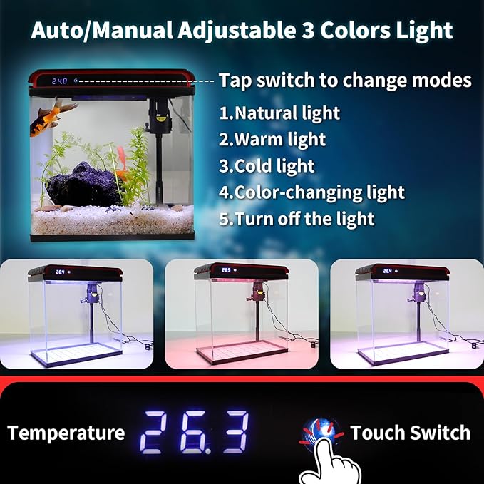 5 Gallon Fish Tank, Glass Aquarium Starter Kits