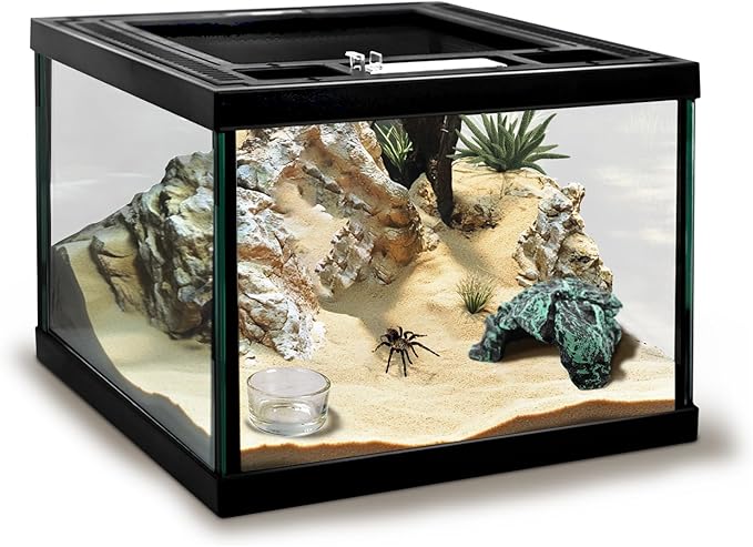 Mini Reptile Glass Tank 8 * 8 * 6inch Terrarium for Start with Top Ventilation for Turtle,Spider,Hermit Crab,Geock,Frog AMD Beard Dragon