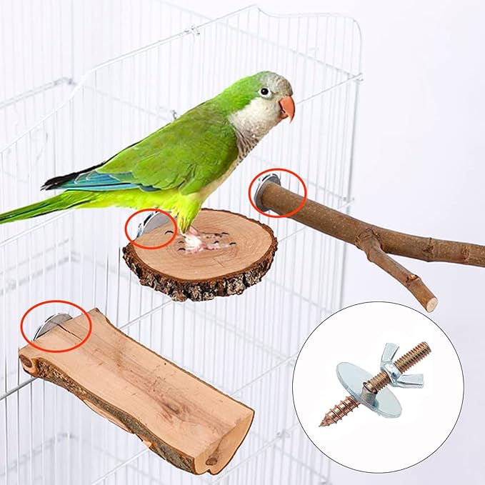 12 Sets Bird Cage Screws Bird Perch Stand Platform Accessories 24 Washers 12 Screws 12 Wing Nuts Hardware for Fixing Bird Playground Perch Food Bowls Feeder Breeding Box