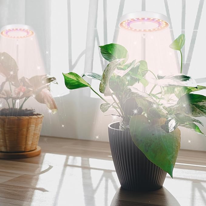 GooingTop LED Grow Light, Halo Plant Growing Lamp for Indoor Plants Growth, White Full Spectrum Low Light for Small Plants,Upgrade Timer 4/8/12/18 Hrs & Variable Spectrum,2 Pack
