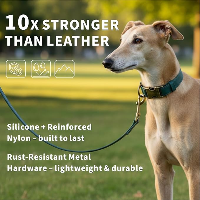 Dog Collar and Leash Set,Leather Silicone Waterproof Odor-Proof Dog Collar and Leash for Large Dogs, Soft Flexible Dog Collars, Durable Thick Adjustable Pet Collar (Green, Large (14.5-24" Neck))