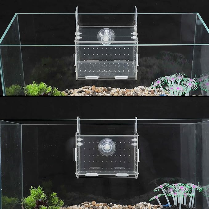 Fish Breeder Box for Fish Tank, Acrylic Fish Tank Divider, Easy to Install, 5.91"x3.94"x3.94", Clear, 1 Set