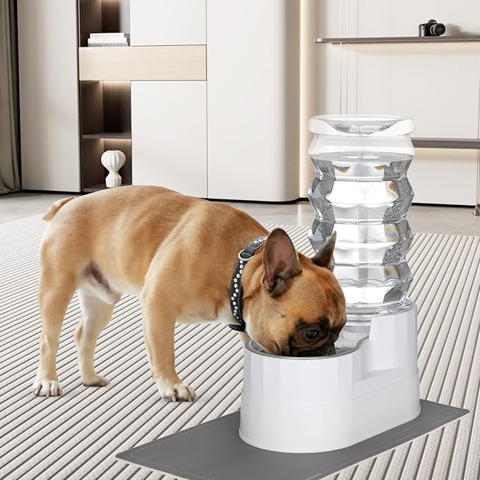 RIZZARI Automatic Dog Water Dispenser：8L Lagre Stainless Steel Raised Pet Water Bowl Gravity Feeder with Filter & Waterproof Mat - Indoor/Outdoor Pet Feeder
