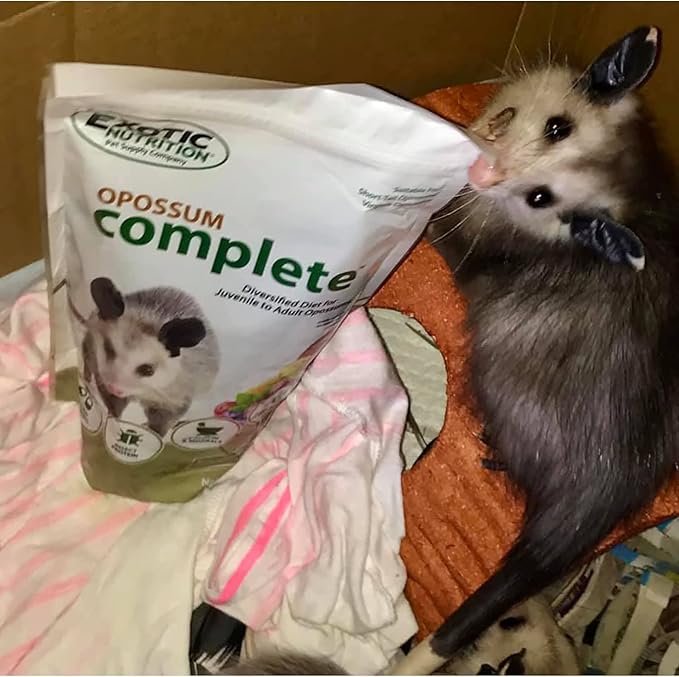 Opossum Complete 4 LB | Nutritional Healthy Pellet Diet | Food for Short-Tailed & Virginia Opossums