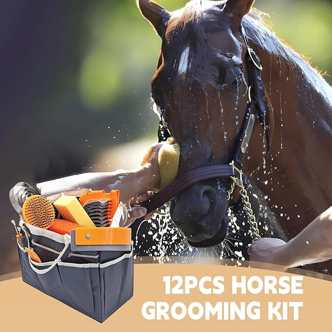 Horse Grooming Kit, Grooming Supplies Includes Horse Brushes and Handbag, Brush Set, Curry Comb, Hoof Pick, Sweat Scraper, Sponge Etc., Suitable Gifts for Riding Enthusiasts Lovers