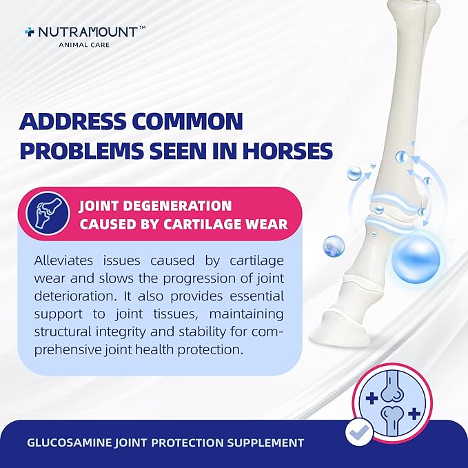 Glucosamine Joint Protection Supplement for Horses Support Cartilage Health & Joint Mobility 15-Day Supply