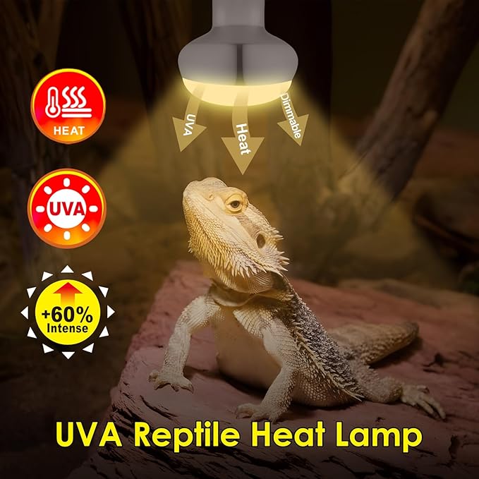 MIXJOY 2Pack 75W Reptile Heat Lamp Bulbs, Upgraded Golden Glass 60% Intense Heat Bulb UVA Daylight Basking Spot Light Bulb for Reptiles, Turtle, Lizard, Tortoise, Bearded Dragon, Gecko, Chicken