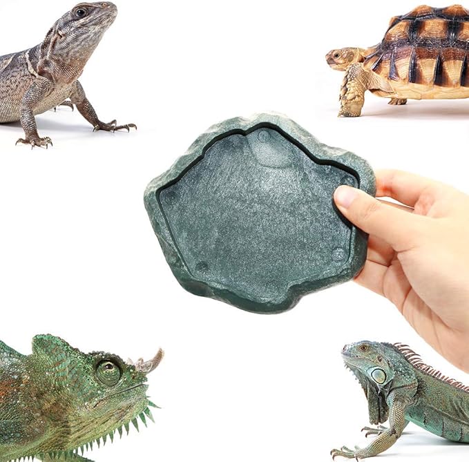 SLSON Small Reptile Feeder Terraium Bowl Plastic Shallow Reptile Feeder for Food and Water Feeding Dish for Lizard Gecko Junior Bearded Dragon,Small Green