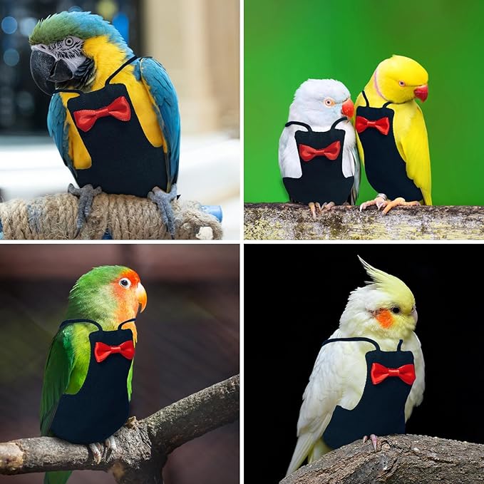 Bird Diaper Washable Reusable Parrot Flight Suit Nappies Protective Breathable Parrot Nappy Clothes for Parakeet, Macaw, Budgie, Canary, Cockatiel (Black, XL)