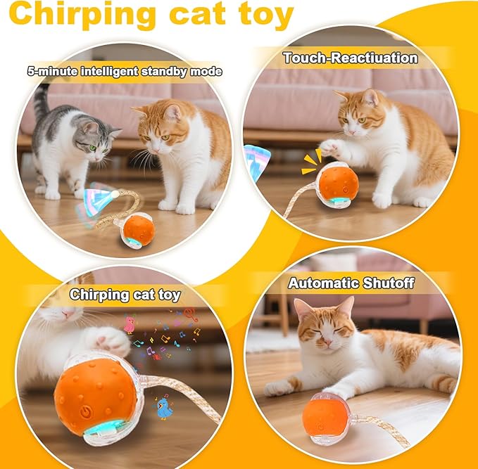 Interactive Cat Toys Ball for Indoor Cats,Automatic Cat Toy with Elastic Mesh Tail,Rechargeable Rolling Kitten Toy,Cat Enrichment Toys for Indoor Cats (Red1, Cat Toy Ball)