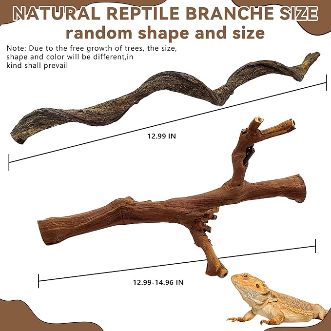 BNOSDM 2PCS Reptile Wood Branches, Snake Climbing Branch, Bearded Dragon Climbing Accessories, Lizard Habitat Decor, Terrarium Tree Trunk Ornament for Gecko Frog Chameleon Spider