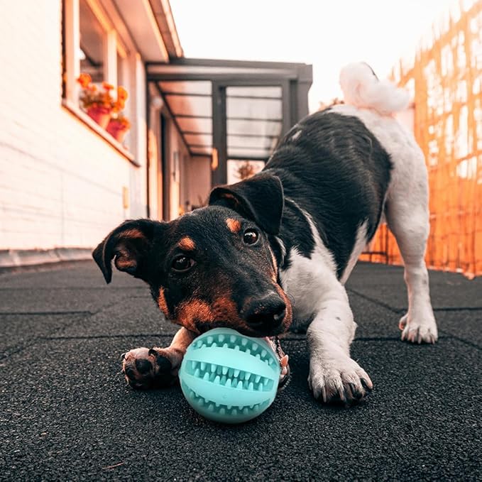 Interactive Pet Toy Balls,Treat Dispensing Ball for Dogs, Dog Balls for Training/Playing/Chewing, Dog Balls for Teeth Cleaning & Massage, Pack of 3 Assorted Colours,3inch/2.5inch/2 inch