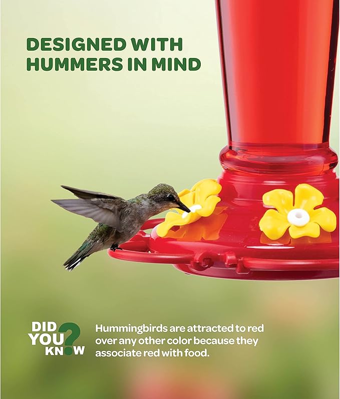 Hummingbird Feeder 10 oz [Set of 2] Glass Feeders for Outdoors, with Built-in Ant Guard - Circular Perch with 5 Feeding Ports - Wide Mouth for Easy Filling/2 Part Base for Easy Cleaning