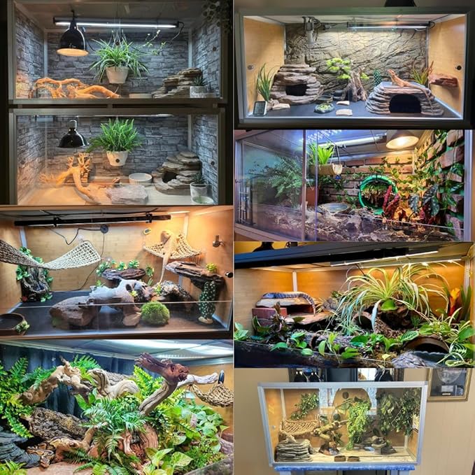 Zen Habitats 4'x2'x2' Reptile Enclosure - The 3.0