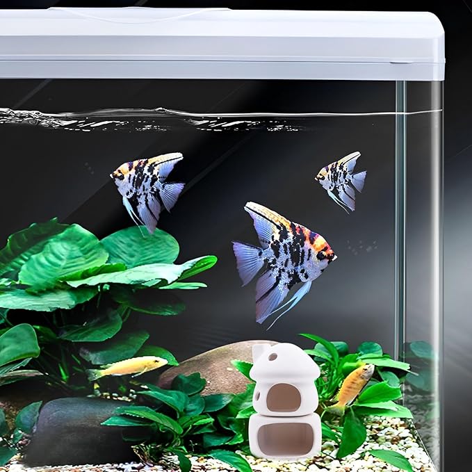 Cute Betta Fish Tank House with Cave Set, Small Mushroom Aquarium Decor Pottery Hide Habitat Hut for Betta Fish Passing or Hiding Safely(White Mushroom + Cave)