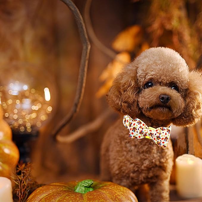 Thanksgiving Dog Collar, Turkey Dogs Collars Bow Tie Pet Collar Adjustable Pet Collars Premium Metal Buckle Autumn Leaf Necklace for X-Large Dogs
