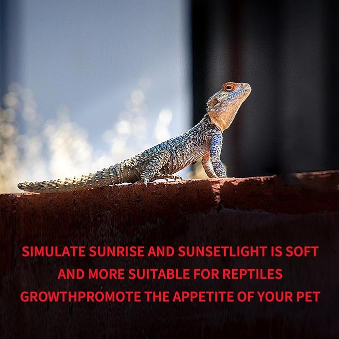 75W Reptile Heat Lamp Bulb 2-Pack,Complete Day & Night Basking Spot Light Combo Including Infrared Heat Lamp and UVA Daylight Basking Lamp for 24-Hour Thermal Regulation