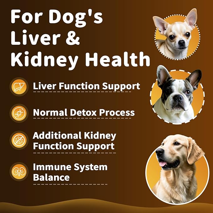 Milk Thistle for Dogs – 9-in-1 Liver and Kidney Support Drops with Artichoke, Resveratrol, Marigold Extract, 100% Natural Detox Supplement for Liver Function, Split Dropper, Chicken Flavor, 2Oz