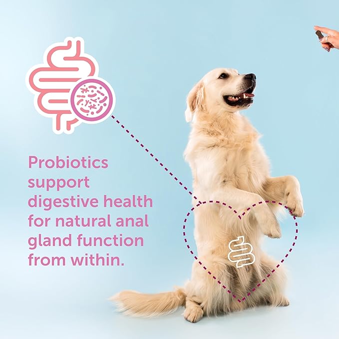 Gland-Ease Dog Canine Chews (for Large Dogs)