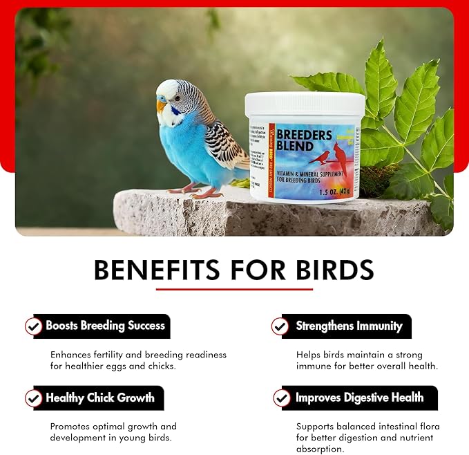 Morning Bird Breeders Blend 1.5 oz – Protein Supplement for Birds – Supports Breeding, Chick Growth, Muscle Development & Immune Support – Daily Vitamin Blend for Strong Bones & Overall Health