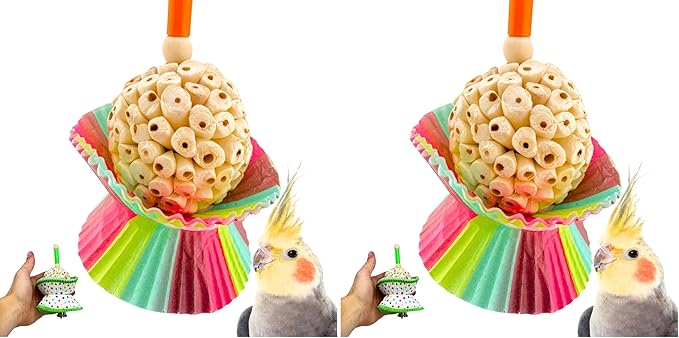 Bonka Bird Toys 1925 Cake Natural Sola Shred Forage Chew Treat Parrot Parrotlet Budgie Cockatiel Parakeets and Other Similar Birds (Pack of 2)