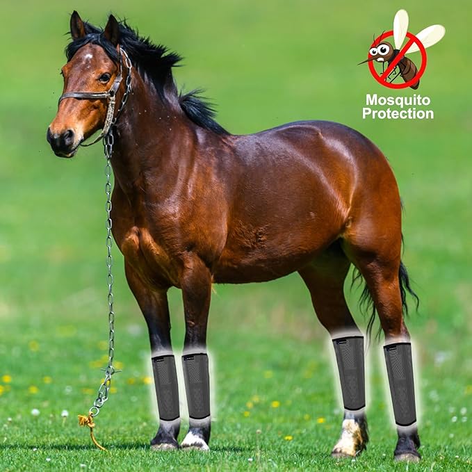 FOXLVDA Horse Fly Boots - Fly Boots for Horses Set of 4, Comfortable Horse Leggings, Mesh Material Design with Metal Support Bars for Reduces Stomping & Leg Fatigue (Dark Gray, Large)