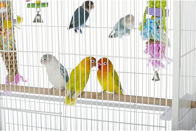 French Fabulous Iron Flight Cage with Elegant Ironwork, Spacious Interior, Durable Construction, and Ample Room for Birds to Fly, Play, Chalk White/53 H