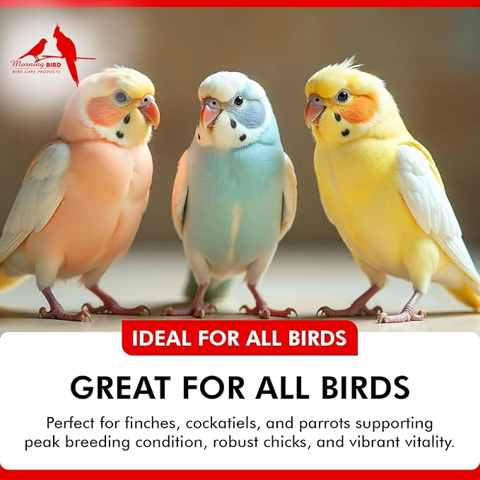 Morning Bird Breeders Blend 8 oz – Protein Supplement for Birds – Supports Breeding, Chick Growth, Muscle Development & Immune Support – Daily Vitamin Blend for Strong Bones & Overall Health