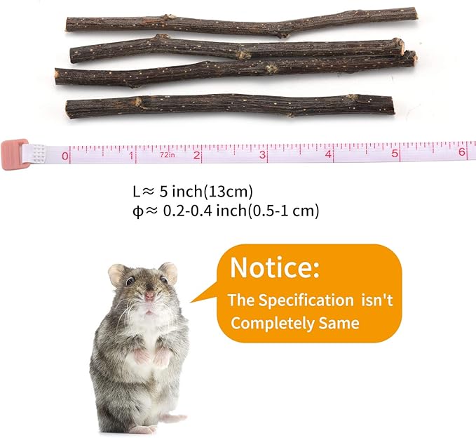 Natural Apple Sticks, 100g Treats Food for Small Animals, Chew Toys for Chinchilla Guinea Pigs Rabbit Squirrel Hamster Bunny (100g)