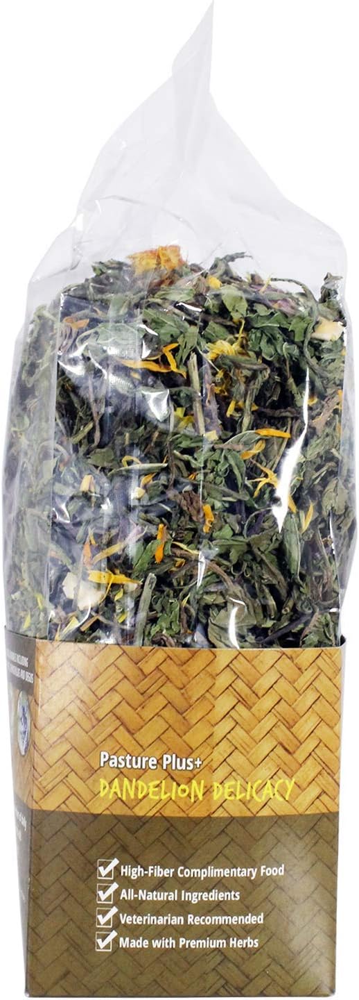 Exotic Nutrition Pasture Plus+ Dandelion Delicacy - Healthy Natural High-Fiber Dried Flower Treat - Guinea Pigs, Rabbits, Chinchillas, Prairie Dogs, Degus, Hamsters, Gerbils & Other Small Pets