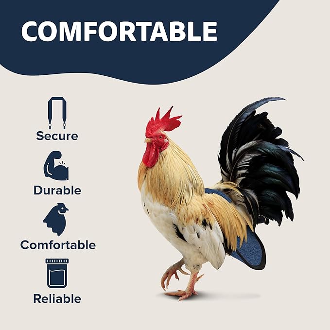 Hen Holster Bird Diaper, Wrap Around - for Hens, Roosters, Ducks, Leak-Proof Design, Comfortable Fleece Strap Bird Harness with Sewn-in Liner, Secure Hook and Loop Closure - XL, Denim