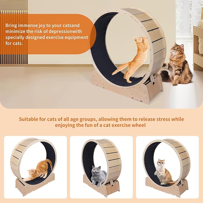 Large Cat Exercise Wheel 40 Inch Treadmill Exerciser for Indoor Cats Love Kitty Running Toy Walking Training for Fitness Weight Loss Device Suitable for Most Cats Physical Exercise Activity