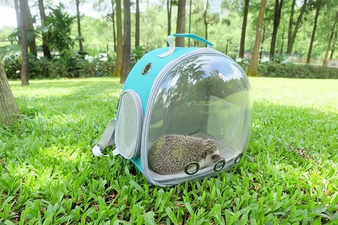 Small Animal Carrier Guinea Pig Backpack,Transparent, Breathable Backpack Carrier for Hedgehogs, Rabbits, Birds, Squirrels, Hamsters, Lizards Comfortable, Portable Travel Bag for Small Pets (Green)