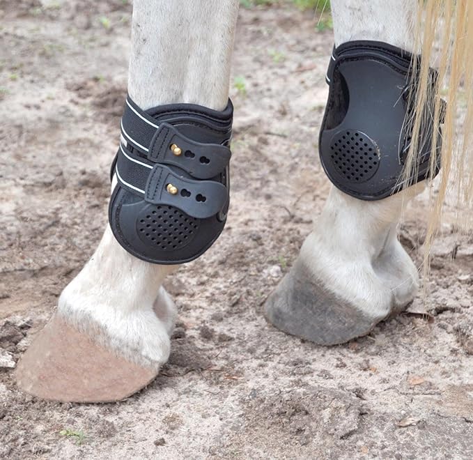 Jeffers Equine English Ankle Boots Large – Premium Horse Leg Protection, Ventilated Neoprene, Adjustable & Comfortable Support, Lightweight & Durable for Training, Jumping & Riding – Black (Pair)