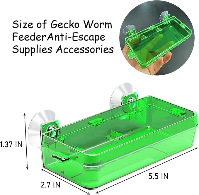 Tfwadmx 2 Pcs Reptile Feeder Chameleon Bowl Water Dish with Suction Cup Gecko Worm Feeder Anti-Escape Chameleon Supplies Accessories for Iguana Lizard Bearded Dragon Snakes （Green,L）