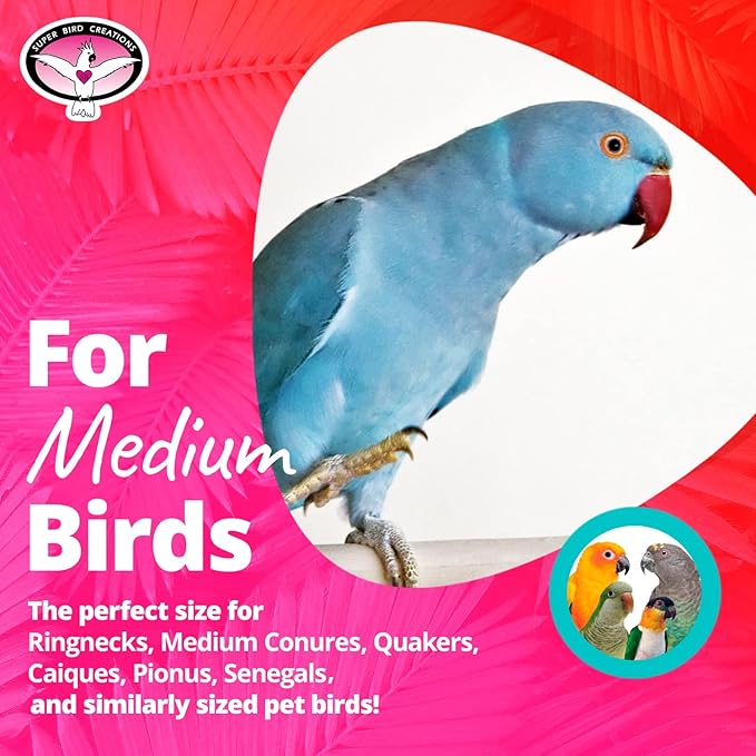Super Bird Creations SB699 Activity Wall Toy - Ideal for Parrots, Ringnecks, Conures - Perfect for Chewing, Foraging, and Boredom Relief, Safe and Engaging Design - Medium Bird Size, 12" x 14" x 3"