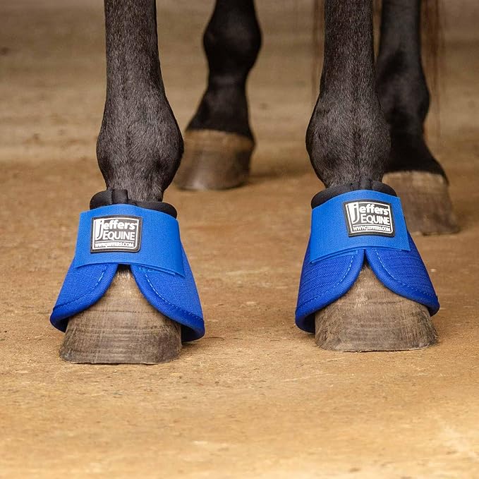 Jeffers Equine No Turn Bell Boots for Horses - Blue, Medium | Shock Absorbing Hoof Protection | Secure Double Hook & Loop Closure, Perfect for Travel, Turnout, Training, & Riding - 1 Pair
