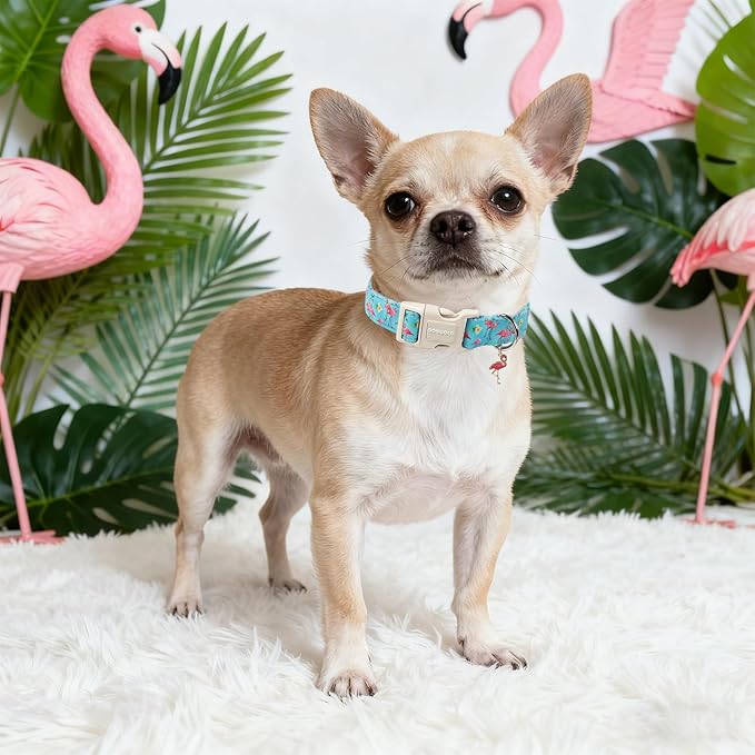 DOGWONG Spring Summer Dog Collar-Cute Flamingo Dog Collar, Adjustable Soft Beach Hawaiian Dogs Collars for Small Medium Dogs, XS