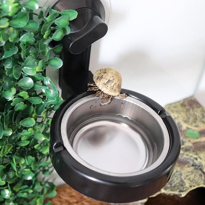 Small Animals Feeding Tray with Sucker, Reptile Feeding Cup, Reptile Food and Water Bowl, Single Bowl Reptile Food Dish with Powerful Suction Cup